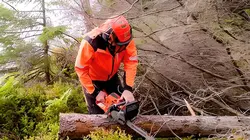 Camping Coppens - Onze Zweedse Zomer