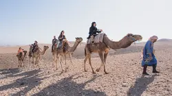 Visuel de Camping Paradis