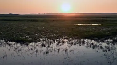 Les prairies de l'Ouest