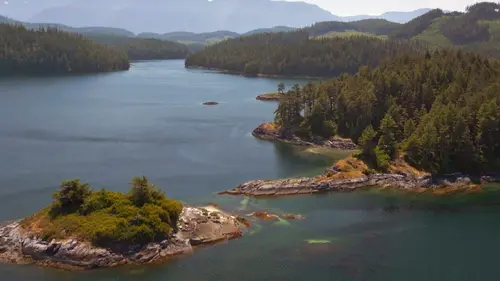 Canada, la force de la nature La forêt côtière du Pacifique