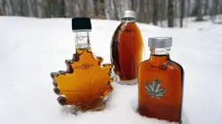 Canada, le pays du sirop d'érable