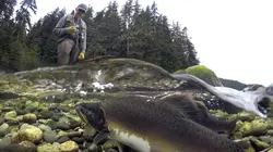 Canada, le vieil homme et la rivière