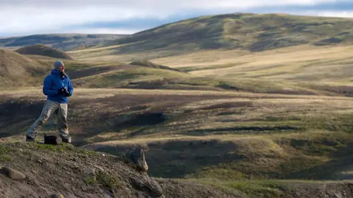 Canada : les lumières de l'Arctique