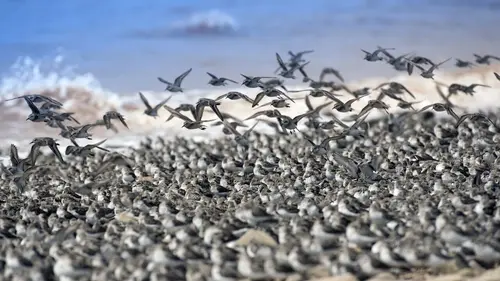 Canada : Les terres sauvages