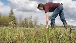 Canada : manger local, une aventure au Yukon