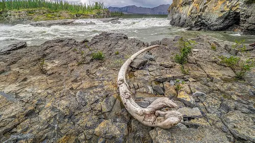 Canada, Nahanni, la rivière du pardon
