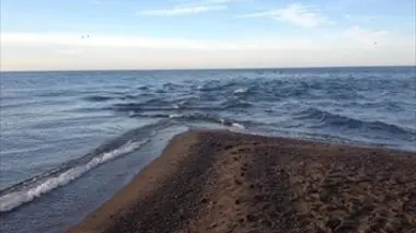 Parc national de la Pointe-Pelée
