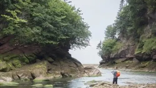 Canada plus grand que nature Parc national Fundy