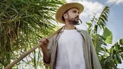 Canaries, les îles-volcans