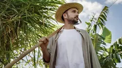 Canaries, les îles-volcans