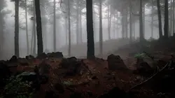 Canaries, les îles-volcans