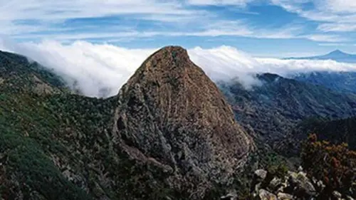 Canaries sauvages E03 La Gomera