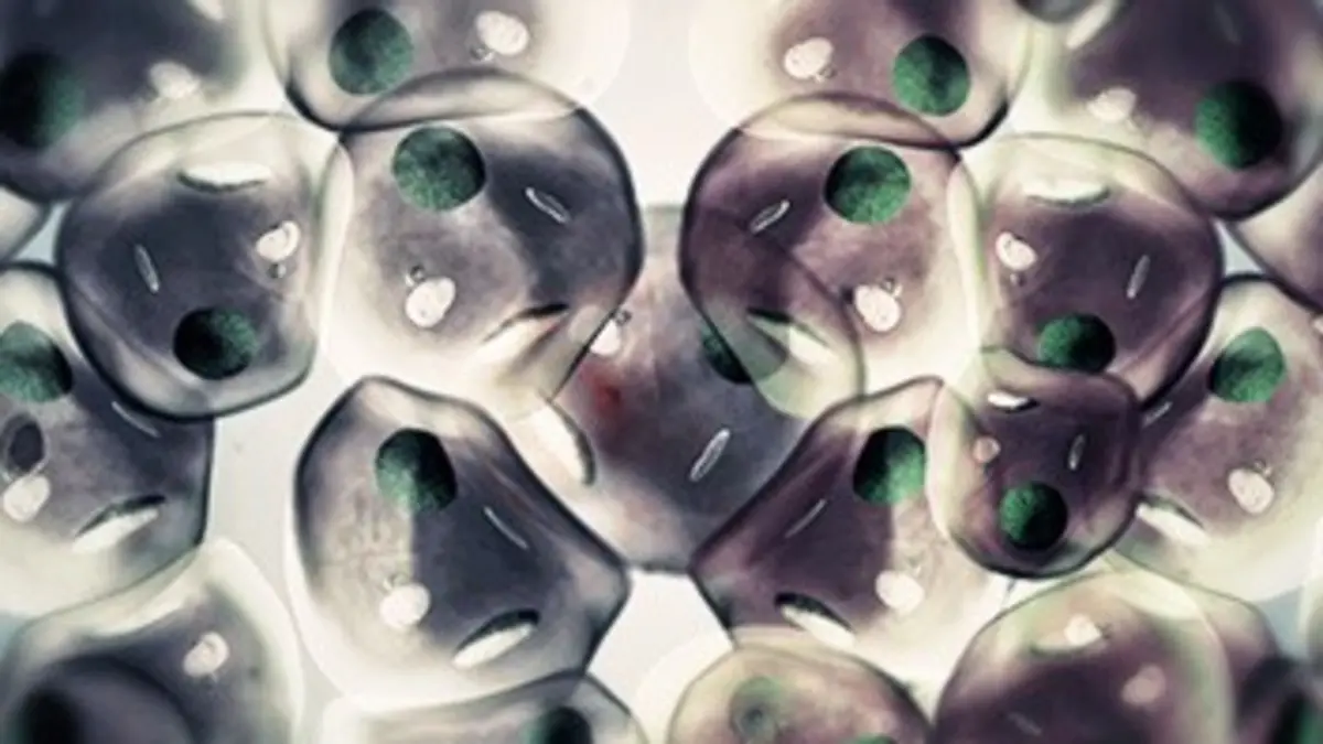 Cancer : la piste oubliée