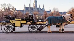 Canicule à Vienne, fini les calèches ?