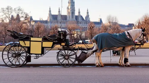 Canicule à Vienne, fini les calèches ?