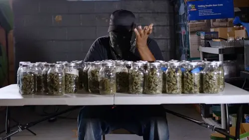 Cannabis : quand le deal est légal