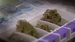 Cannabis sur ordonnance