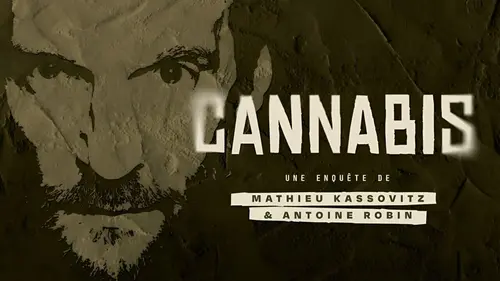 Casting Cannabis : une enquête de Mathieu Kassovitz et Antoine Robin