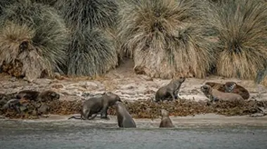 Les entrailles de l'océan