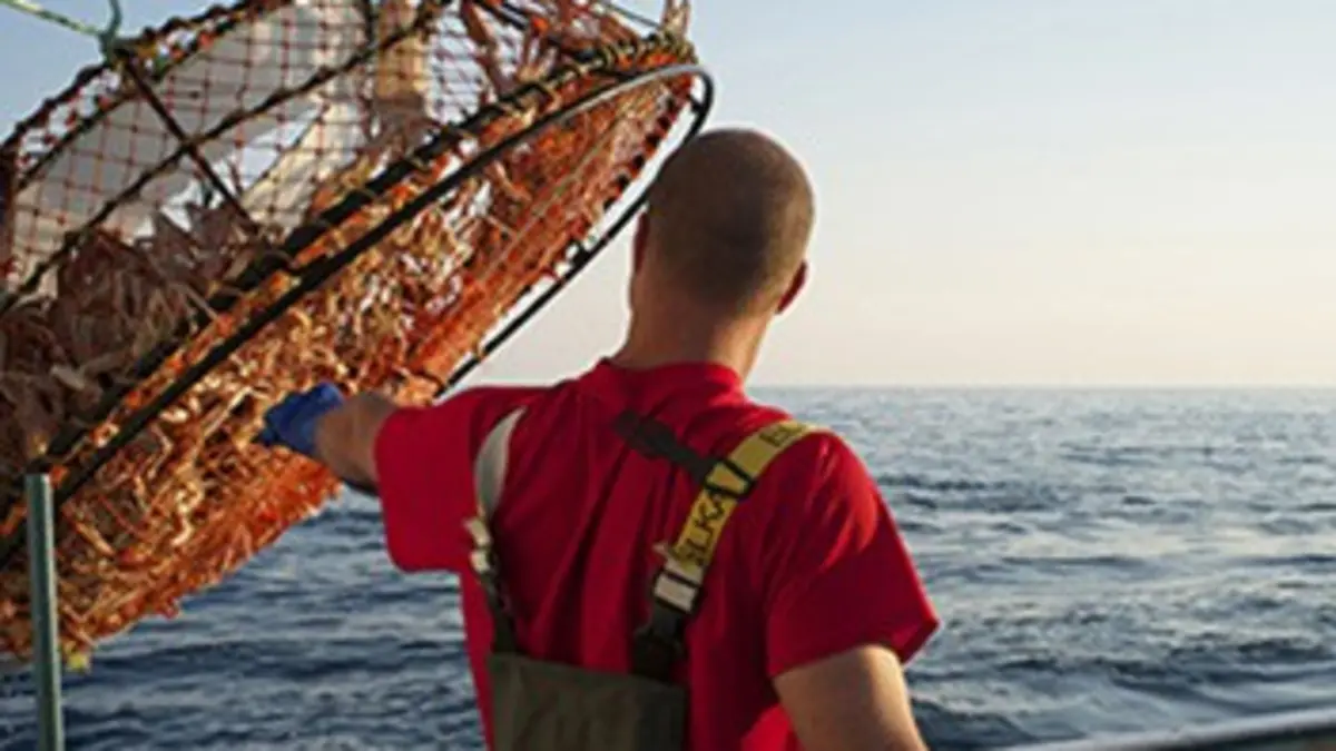 Capitaines des hauts-fonds