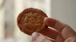 Capital Iles, biscuits et marinières : les recettes gagnantes de la Bretagne