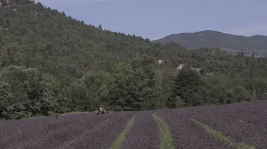 Capital S07E14 Camargue, Luberon, Verdon : le bon filon des parcs naturels