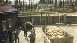 Capitulation, les 100 derniers jours