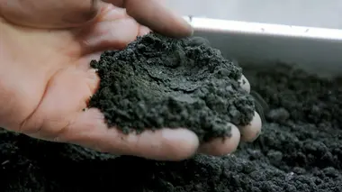 Capturer le CO2 dans l'air : un moyen de refroidir la Terre ?