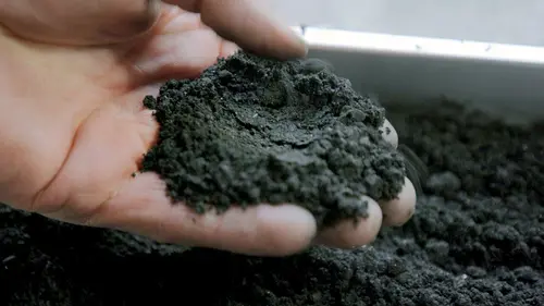 Capturer le CO2 dans l'air : un moyen de refroidir la Terre ?