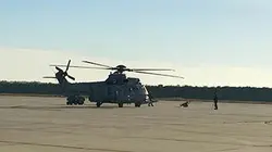 Caracal, hélicoptère d'élite