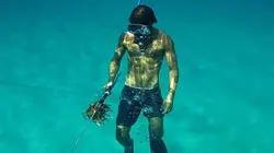 Visuel de Caraïbes : alerte au poisson-lion