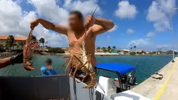 Caraïbes : côtes sous surveillance