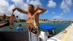 Caraïbes : côtes sous surveillance