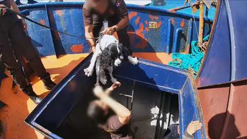 Caraïbes : côtes sous surveillance Homme à la mer