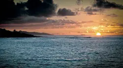 Caraïbes sauvages, les rivages de la biodiversité