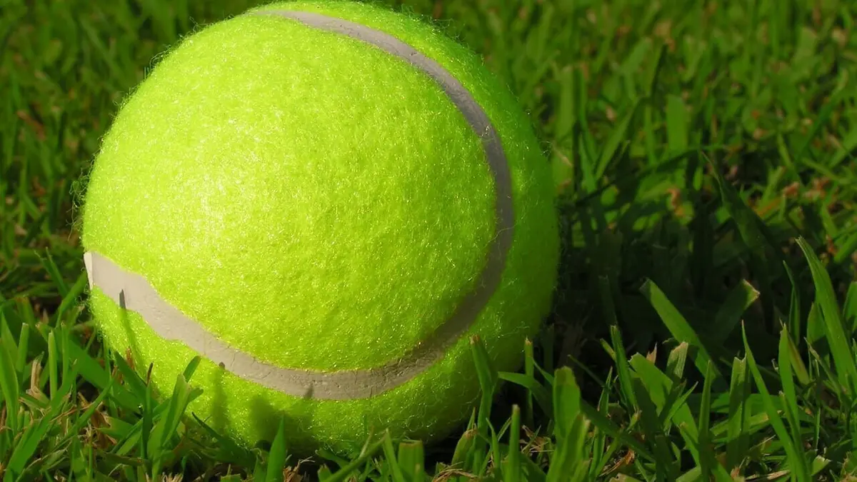 Carlos Alcaraz / Novak Djokovic Tennis Wimbledon 2023