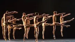 Visuel de Carmina Burana