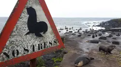 Carnet des Terres Australes