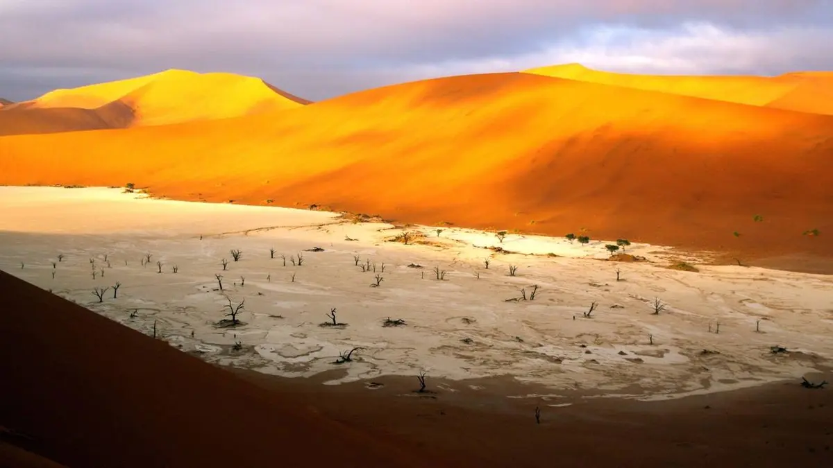 Carte postale de Namibie
