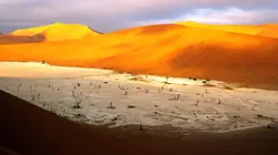 Carte postale de Namibie