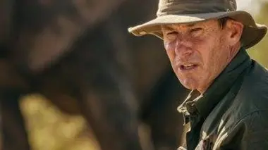 Sauvetage de chimpanzés