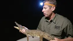 Carter's W.A.R. S02E05 Héros de la faune