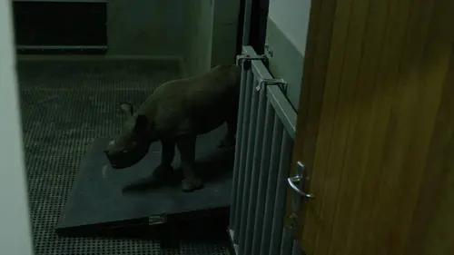 Carter's W.A.R. E12 Le coeur du conflit