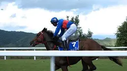 Sur Equidia à 22h30 : Casaque bleu lagon