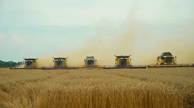 Agriculture : où sont passés les milliards de l'Europe ?