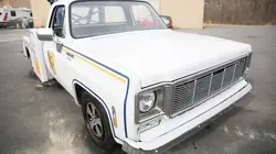 Casse-cash Statue géante