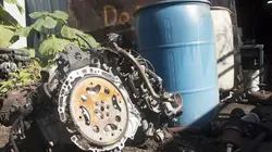 Casse-cash Nourrir la bête