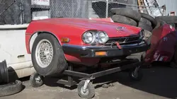 Casse-cash La Bronco Retors