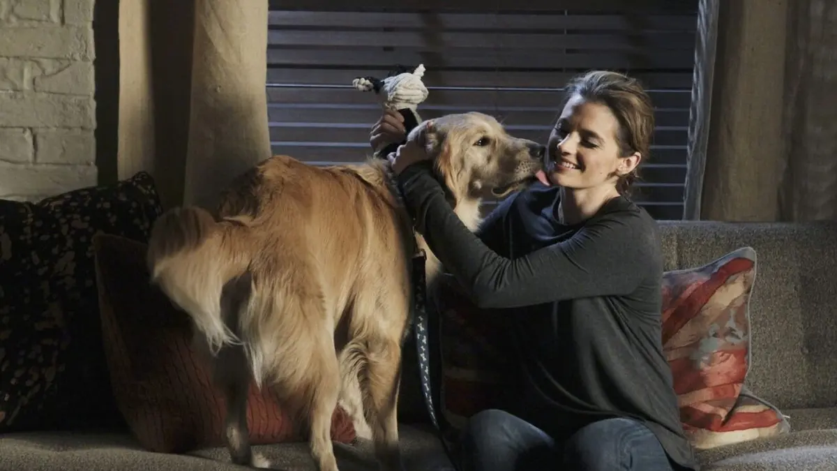 Castle S04E13 Une vie de chien