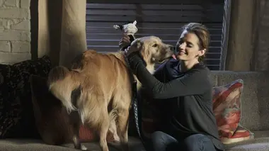 Une vie de chien